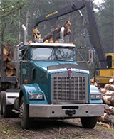A machine loading timber into a logging truck