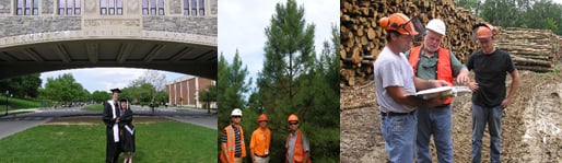 three images in a collage: first is a graduate student, second is 3 workers in front of a tree and third is three different workers looking at paper work in front of a large pile of timber.