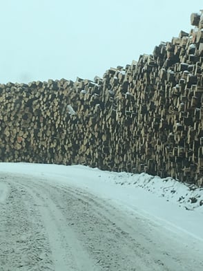 stacked timber with snow on the ground