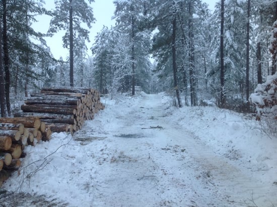 a snowy timber yard