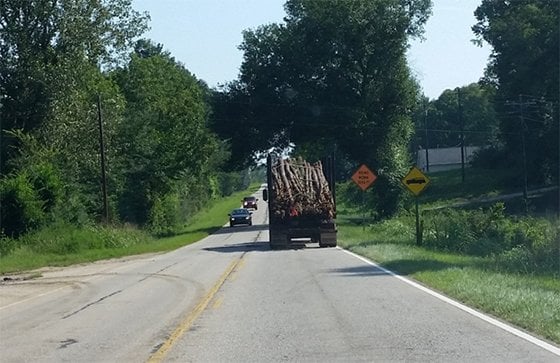 Truck along road with cut trees in back