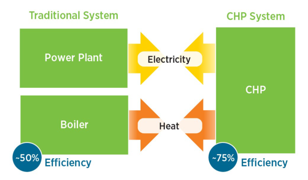 Combined Heat And Power Systems Using Woody Biomass Forest Resources   19 P 01 