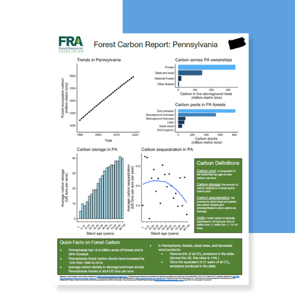 Carbon Report Example