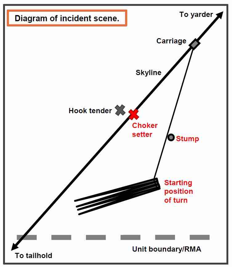 Choker-Setter-Struck-When-Hung-Up-Log-Pile-Clears-Illustration