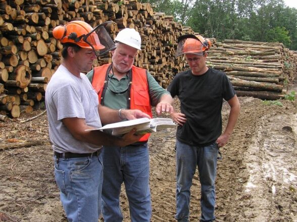 Three forestry workers gathered together