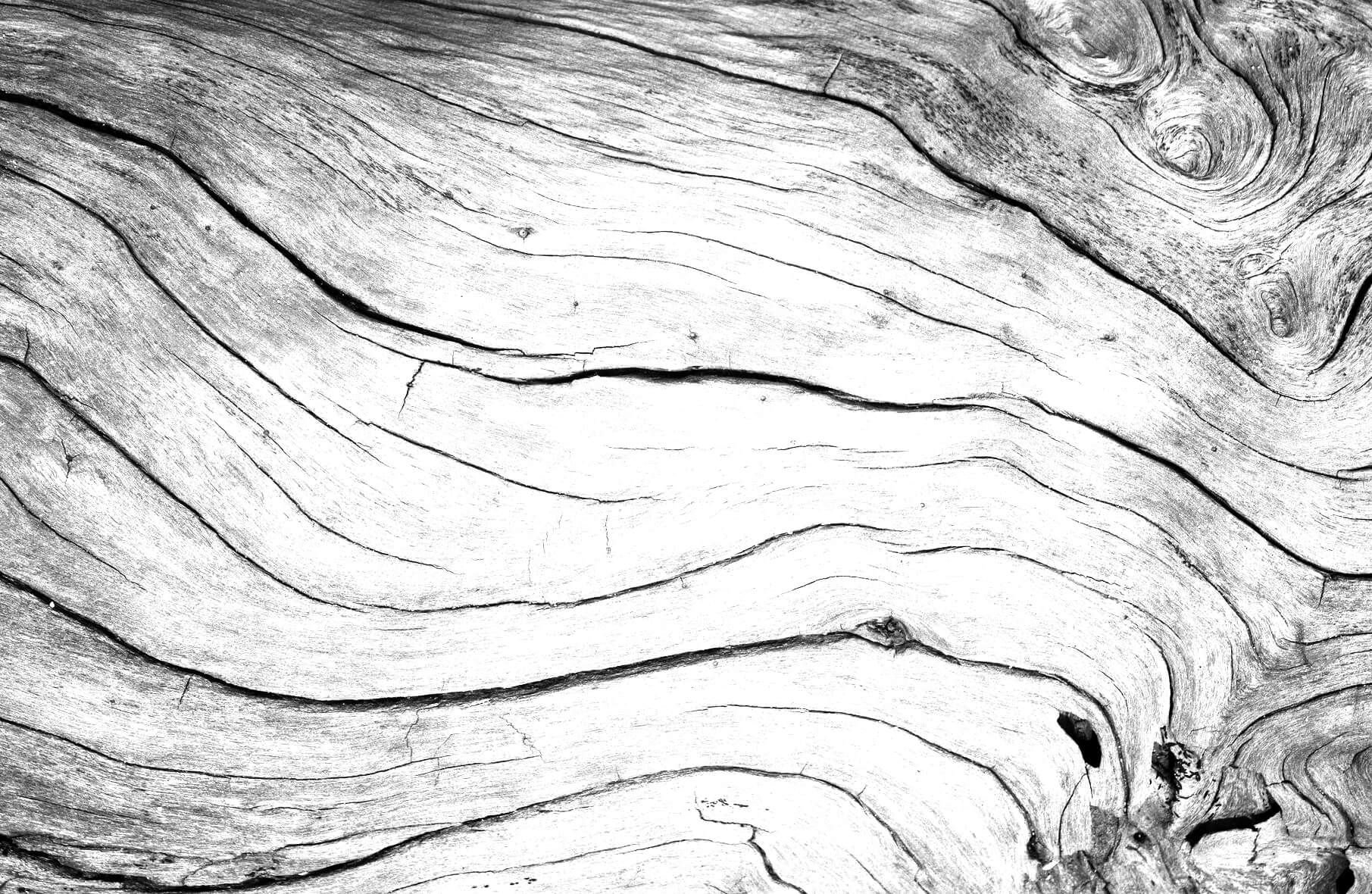 Wood Texture