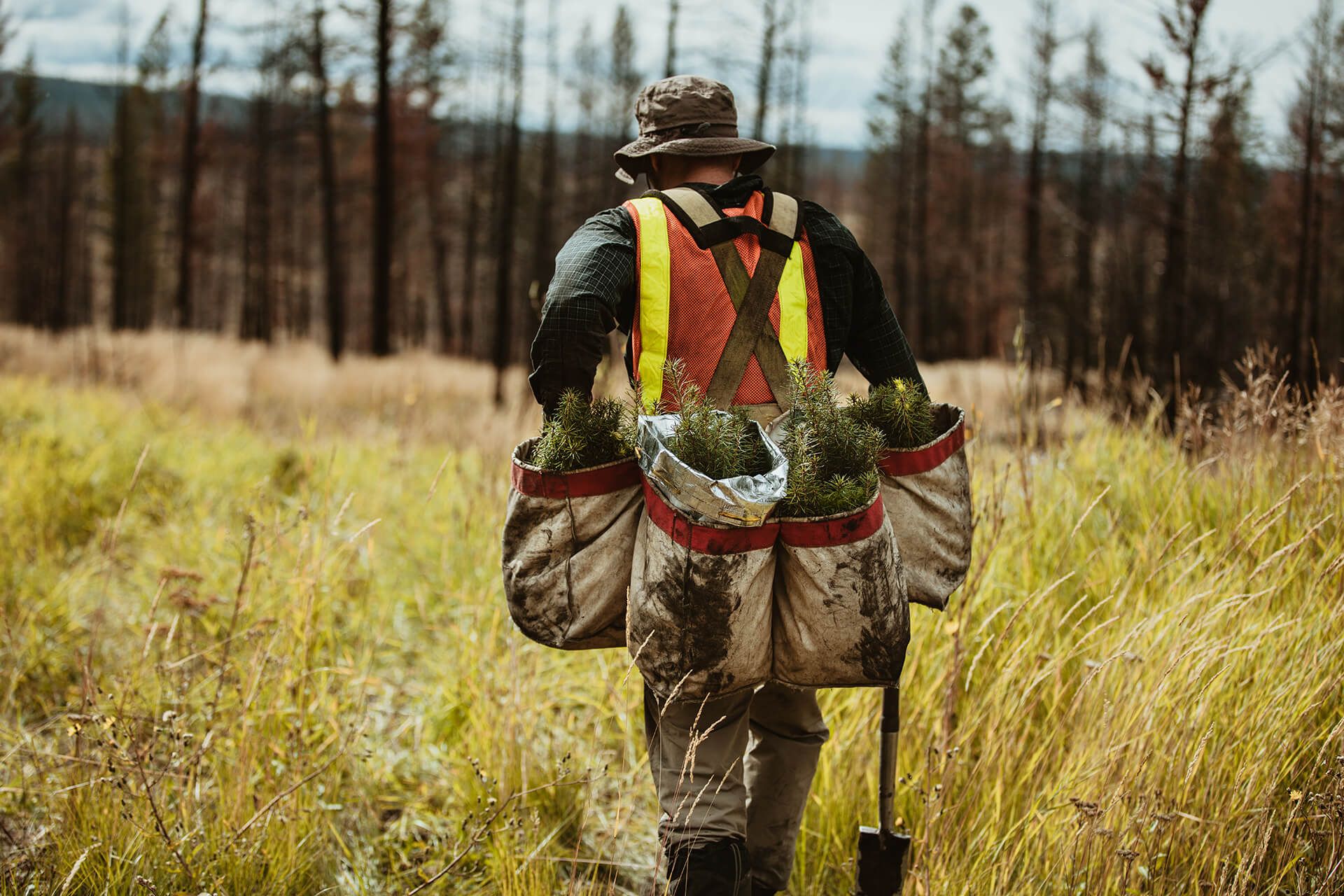 Workforce man walking through field