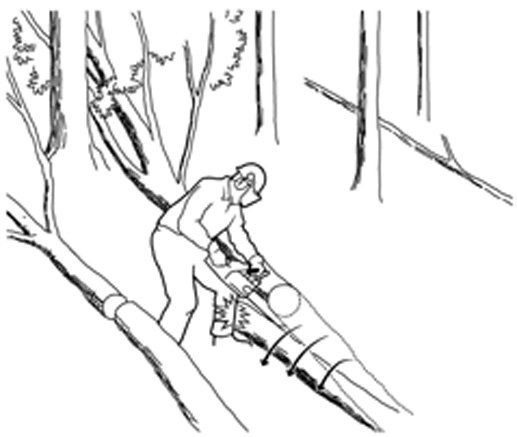 Unsafe Topping and Bucking of a Tree Tension