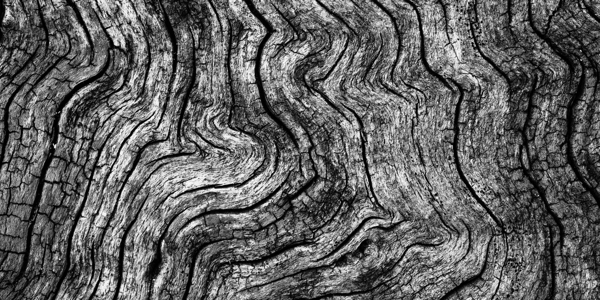 Wood Texture