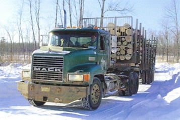 photo of Dave Berthiaume, with his dog Rowdy riding shotgun, drives down Berthiaume Road towards the Sappi mill with one of his final loads of timber.