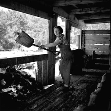 photo of Dorothy DeGreenia spent much of her time shoveling old bark and debris out of the sawmill.