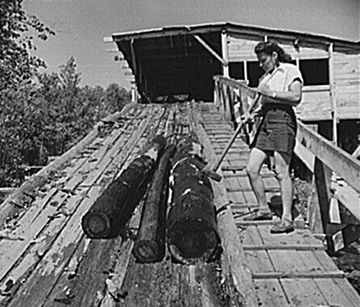 Caption: Elizabeth Esty moves logs from the pond to the mill.