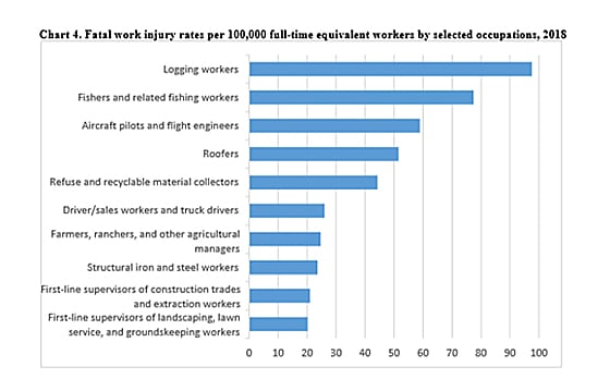 chart of fatal work injury rates