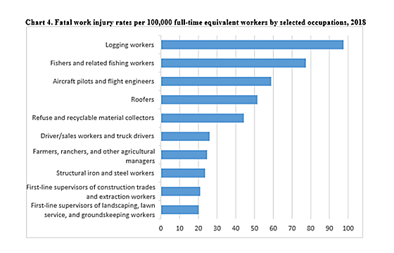 chart of fatal work injury rates