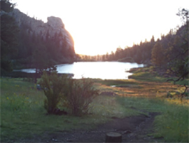 image of pond in forest 