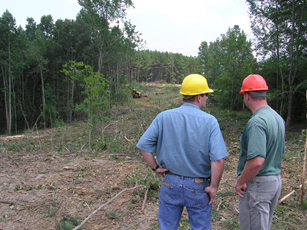 photo of 2 forest sector workers looking at a logging site