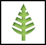 icon of green tree