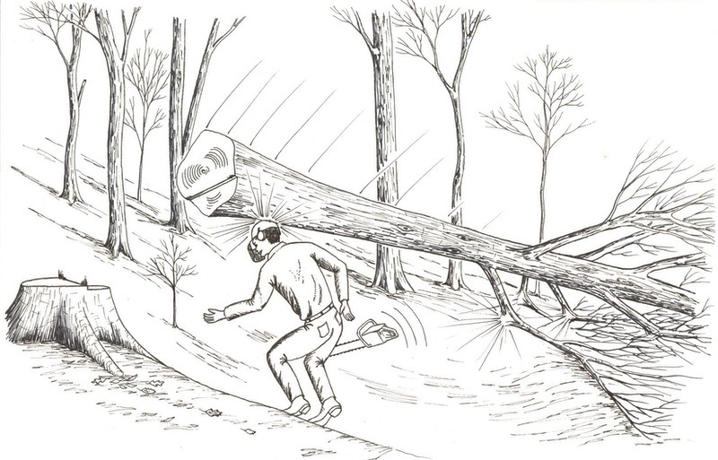 Tree Butt Falls Illustration