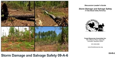 Storm damage vs. salvage graphic