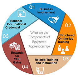 Infographic of 5 components of registered apprenticeship