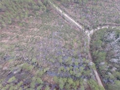 arial photo of unused track of trees