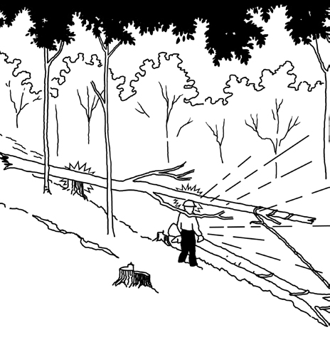 Vines Pulls Dead Tree Illustration
