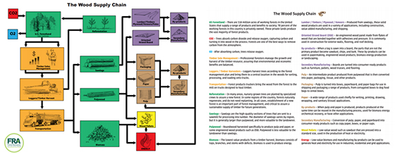 wood supply chain schematic