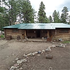 image of log cabin with green roof