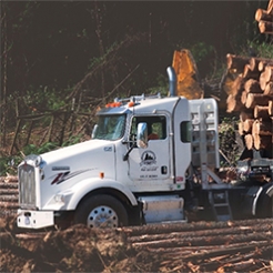image of logging truck full of timber