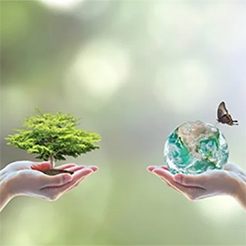 photo of hands holding plant and earth with butterfly
