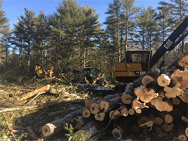 Logging equipment next to pile of stacked logs