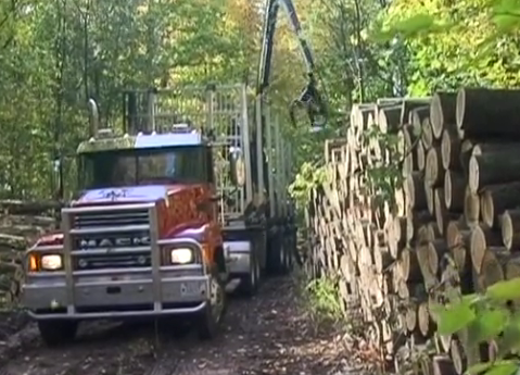 Log loader truck