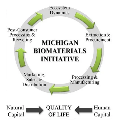 A chart showing Michigan Biomaterials initiative.