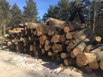 a pile of timber.