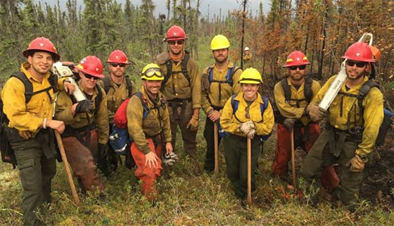 Vets of forestry