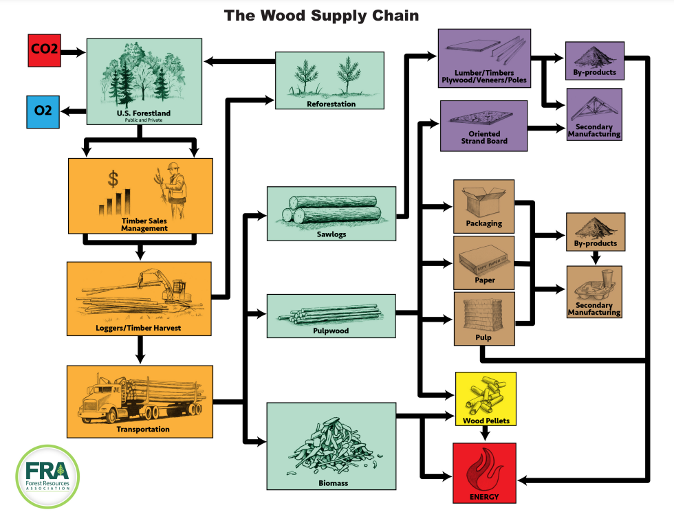 A diagram using arrows and information blocks depicting the Wood Supply Chain