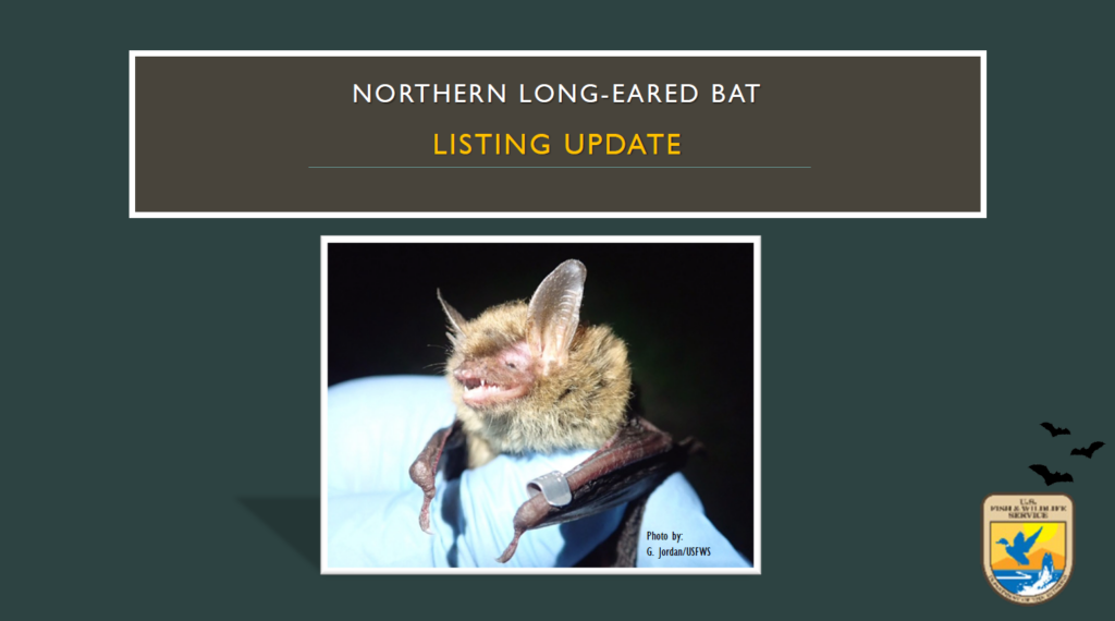 Northern Longeared Bat Reclassification Forest Resources Association