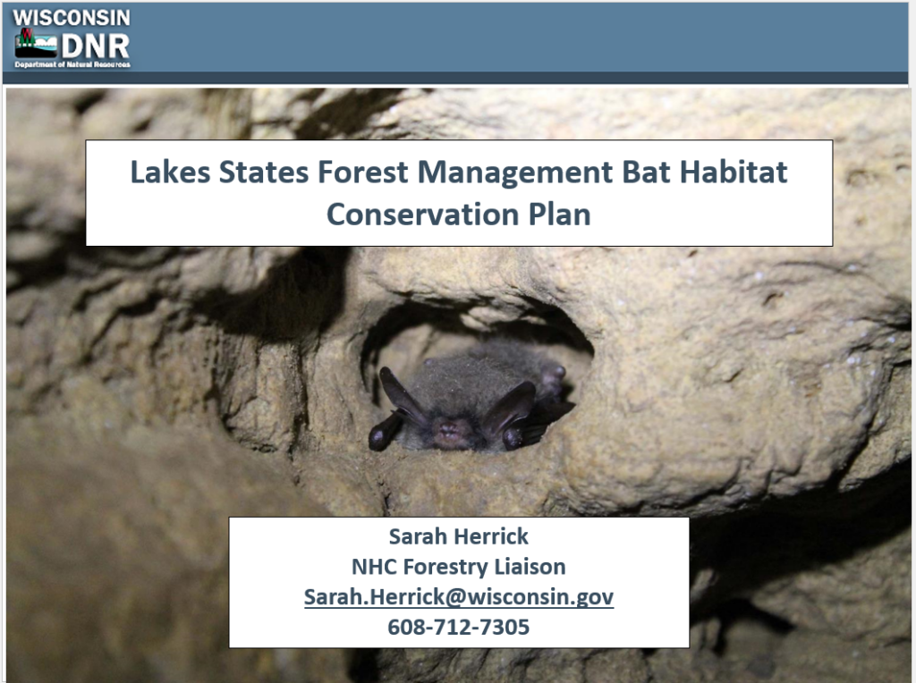 Lake State Forest Management Bat Habitat Conservation Plan Forest
