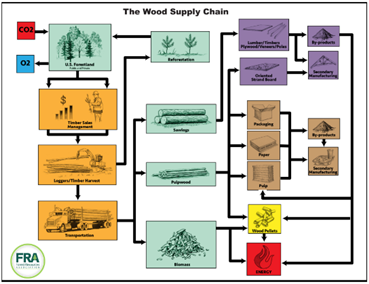 Celebrating National Forest Products Week - Forest Resources Association