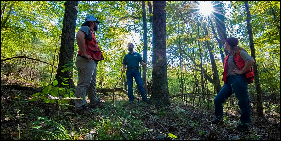 The Department Of Forestry At Mississippi State University - Forest ...