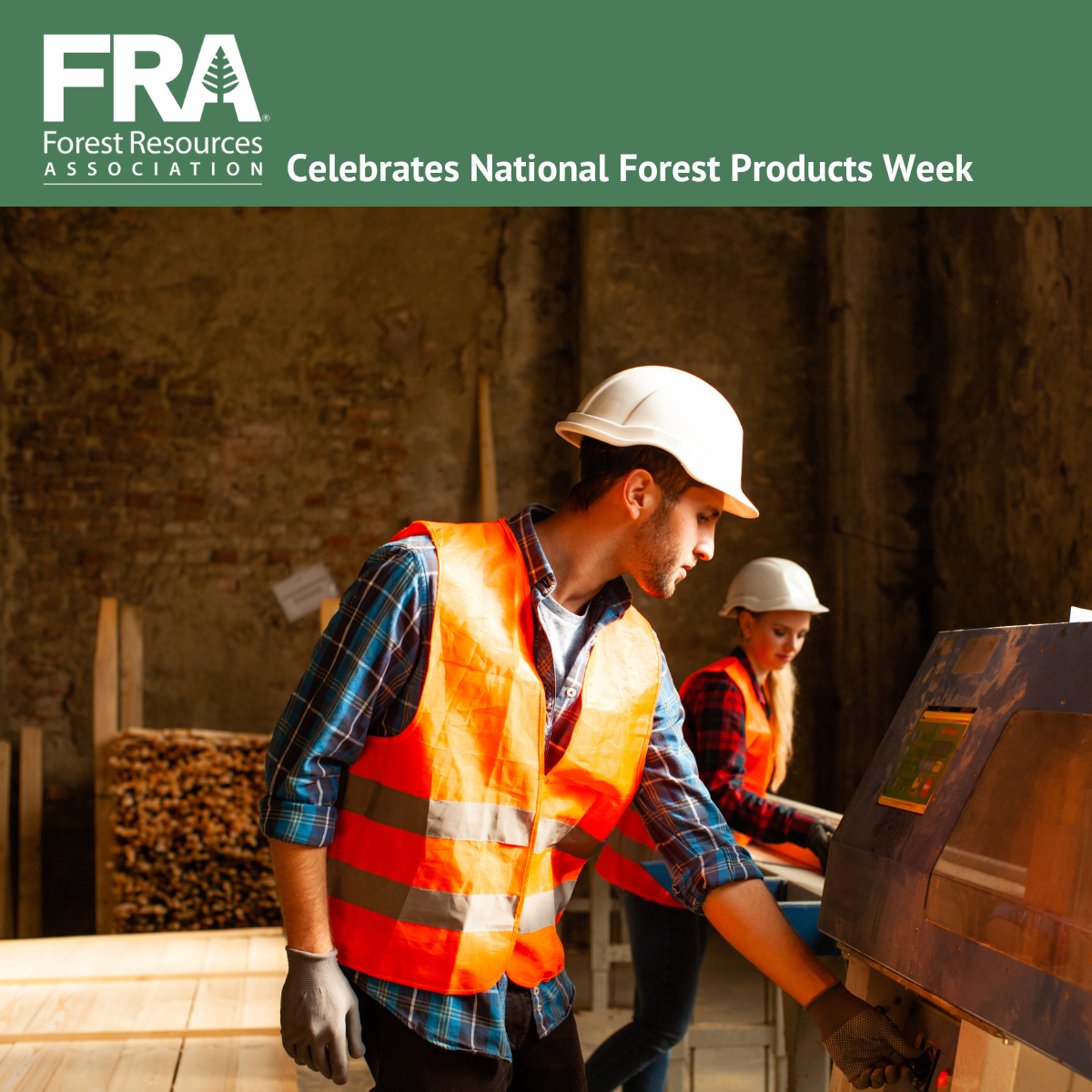 The Enduring Legacy of Forest Products in America - Forest Resources ...